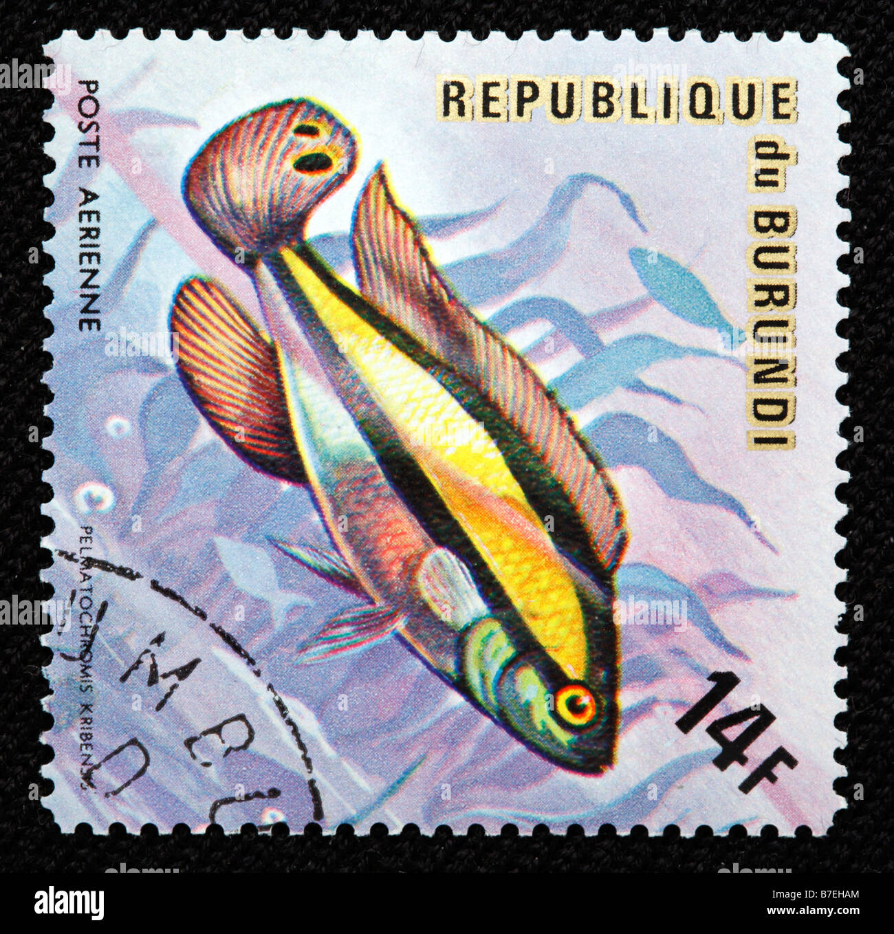 Pelvicachromis pulcher Pelvicachromis pulcher, Pelmatochromis kribensis, poissons d'eau douce, cichlidés, timbre-poste, Burundi, 1974 Banque D'Images