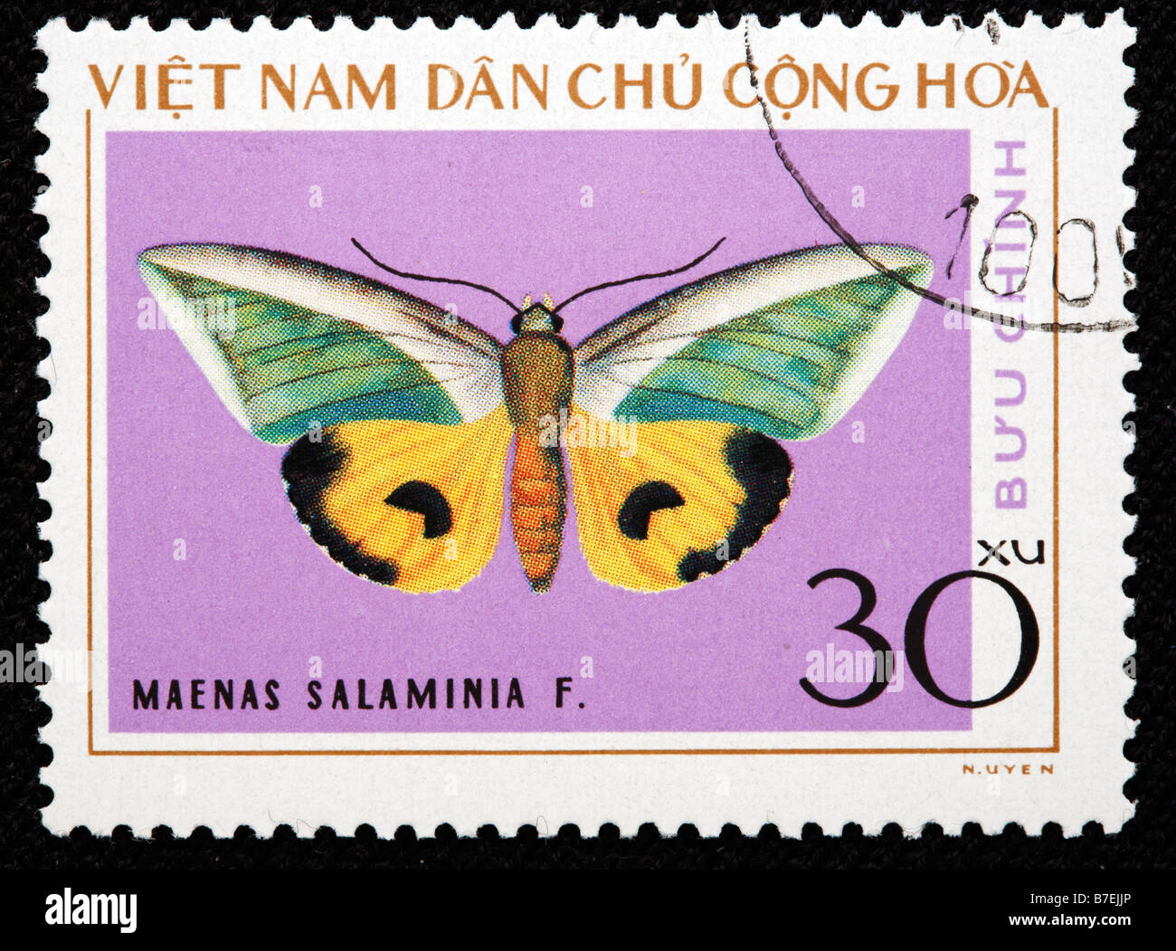 Maenas salaminia, papillon, timbre-poste, Vietnam, 1976 Banque D'Images