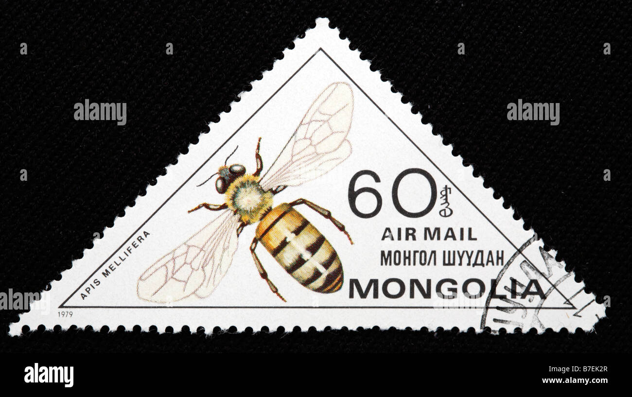 Symbole de l'abeille Banque de photographies et d’images à haute
