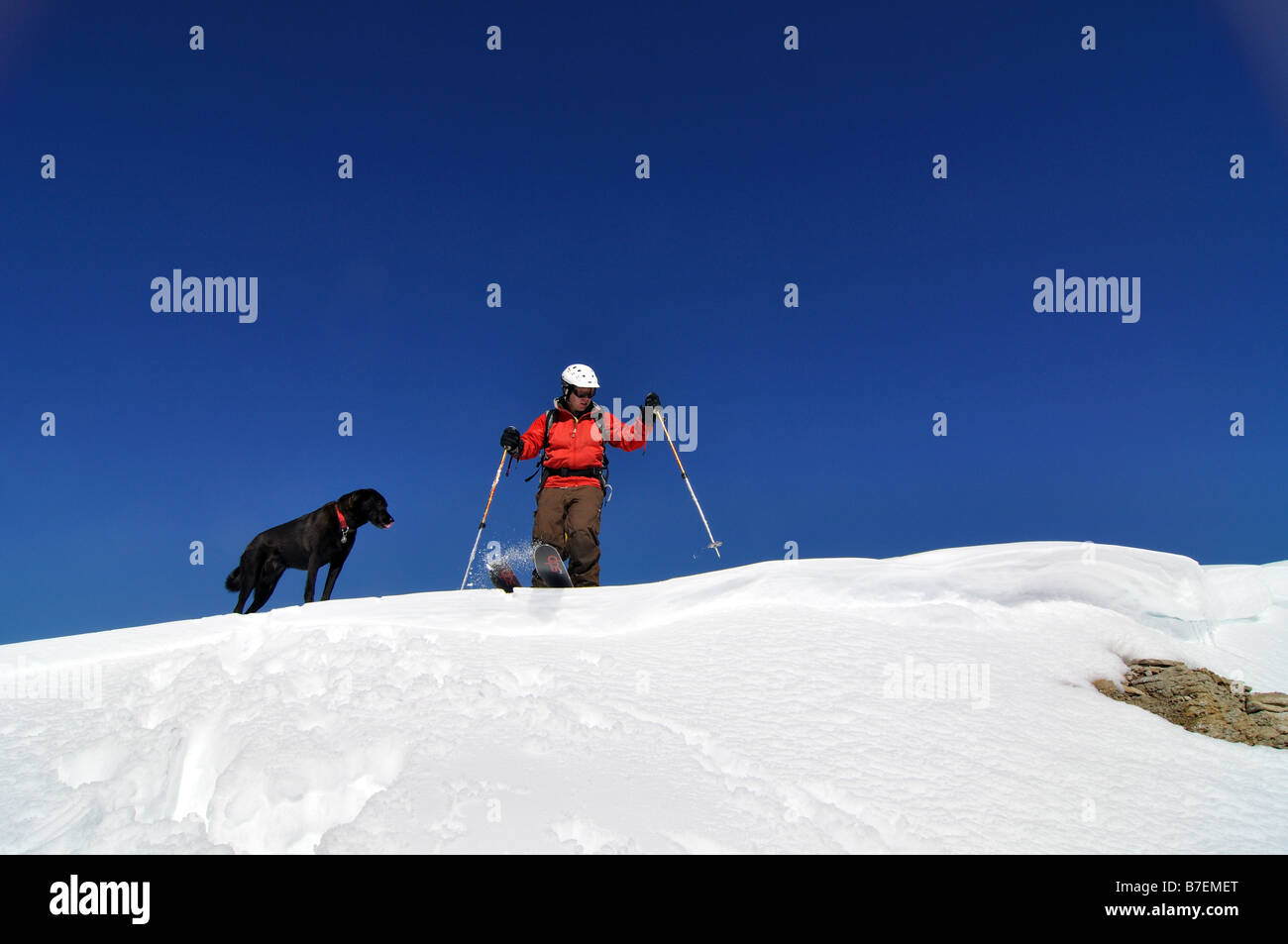 Skieur ski backcountry ski neige poudre colorado Banque D'Images