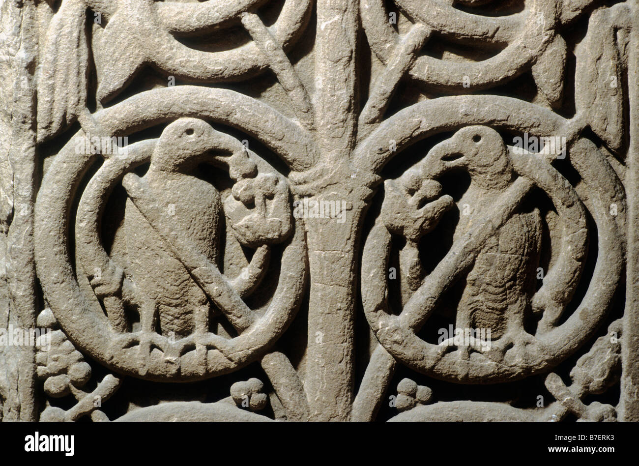 Abbaye de Jedburgh sculpture Saxon Celtique pierres sculptées Scotland UK Banque D'Images
