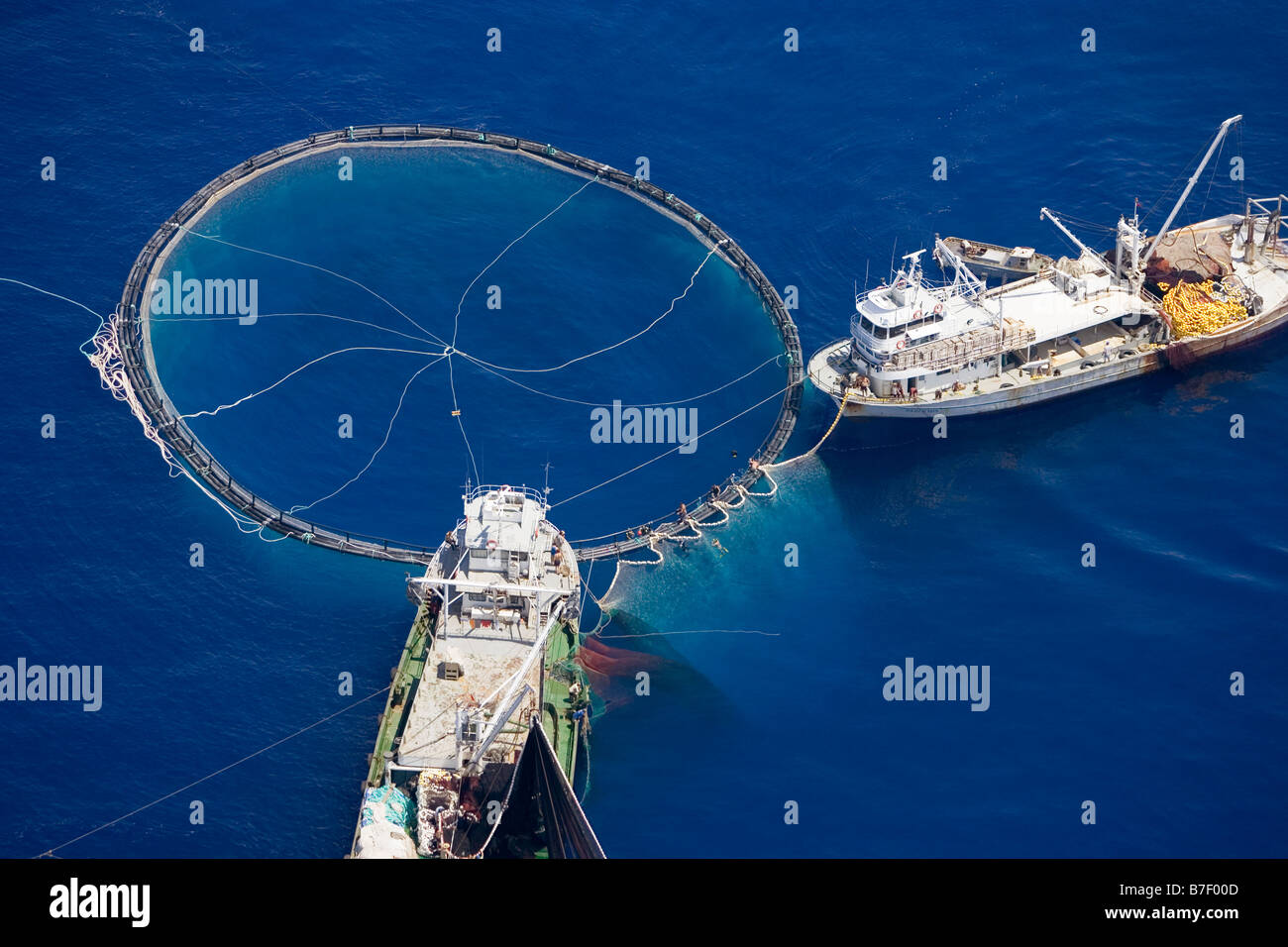 La flotte de thoniers turcs la pêche du thon rouge à la Senne, la Turquie. Banque D'Images