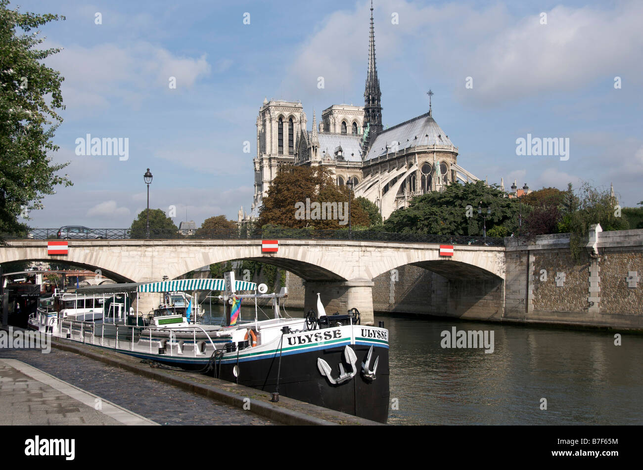 Notre Dame de Paris. Ile de la cité. Paris Banque D'Images