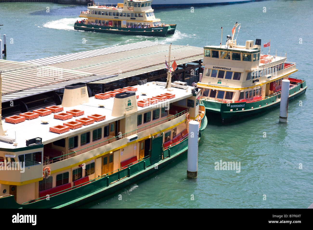 Ferries du port de Sydney, Australie Banque D'Images