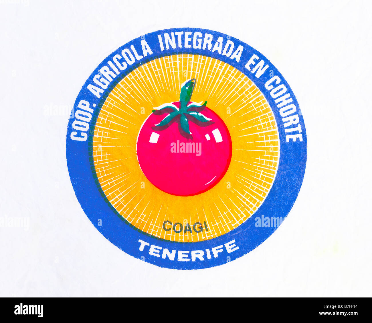 Imprimés éphémères / Fruits - légumes wrapper à partir de Tenerife - tomate en cercle Illustration sur papier de soie. Banque D'Images