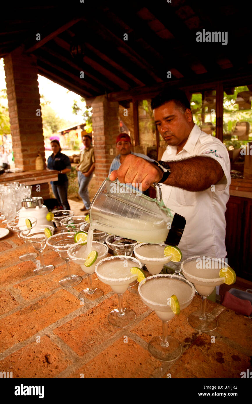 Los Osuna Sinaloa Mexique distillerie d'Agave Banque D'Images