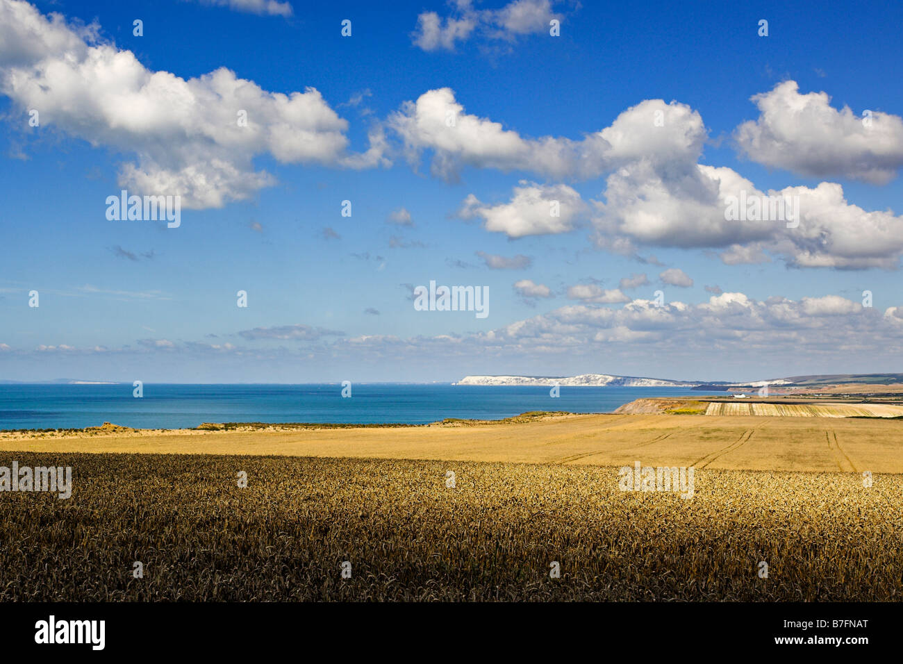 En regardant vers les aiguilles de Chale, île de Wight Banque D'Images