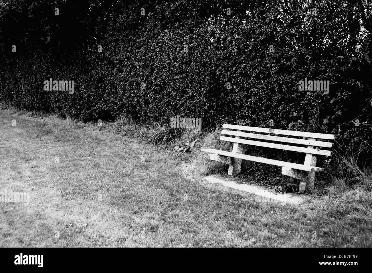 Banc de parc à côté de haie Banque D'Images