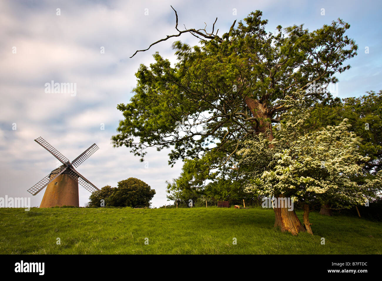 Moulin à Vent de Bembridge, île de Wight Banque D'Images