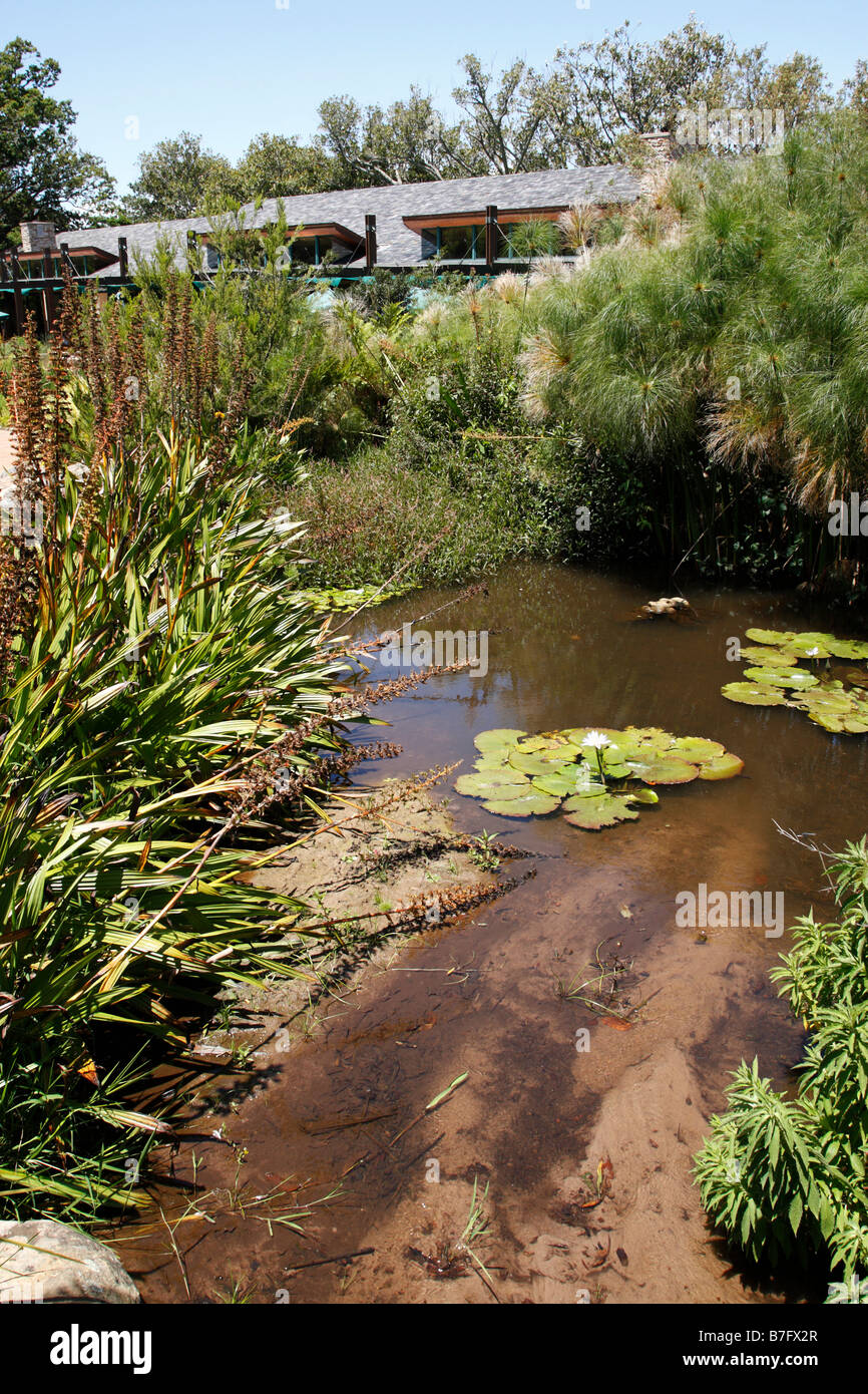 Voir l'intérieur de Kirstenbosch National Botanical garden fondée en 1913 Cape town afrique du sud Banque D'Images
