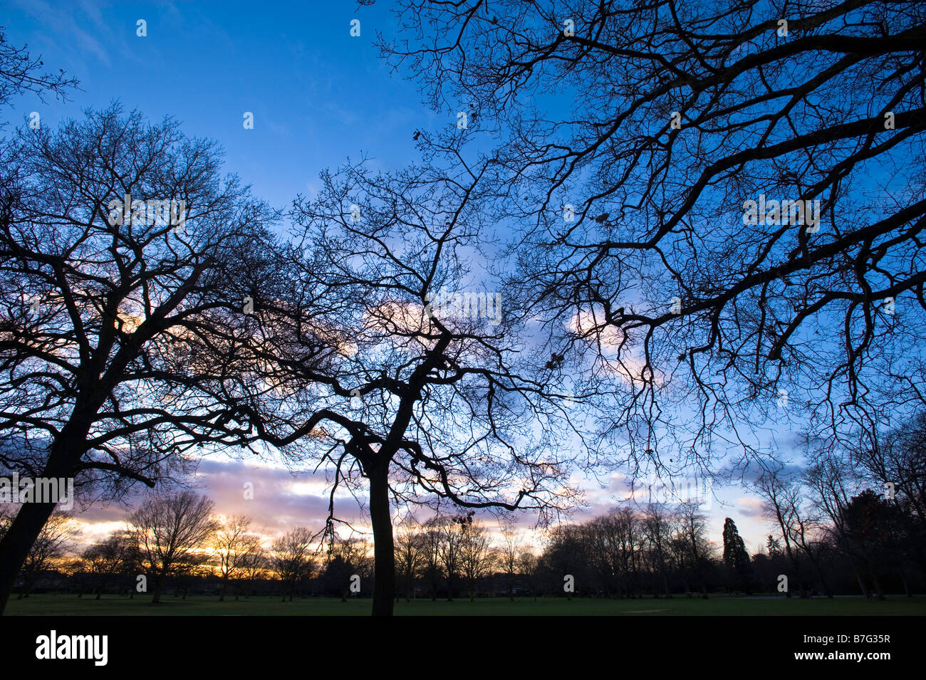 Ciel dramatique au coucher du soleil sur le parc Walpole Ealing W5 London United Kingdom Banque D'Images