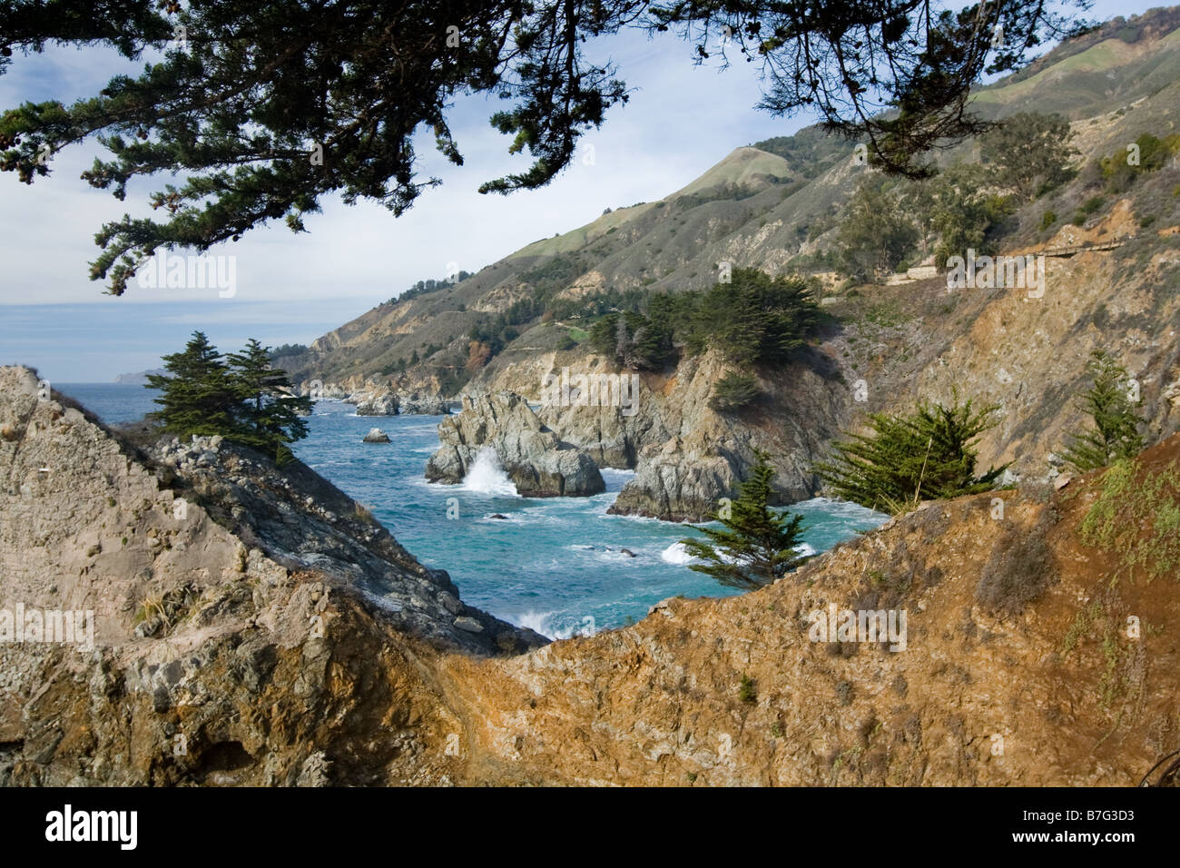 Côte du Pacifique, Julia Pfeiffer Burns State Park Banque D'Images