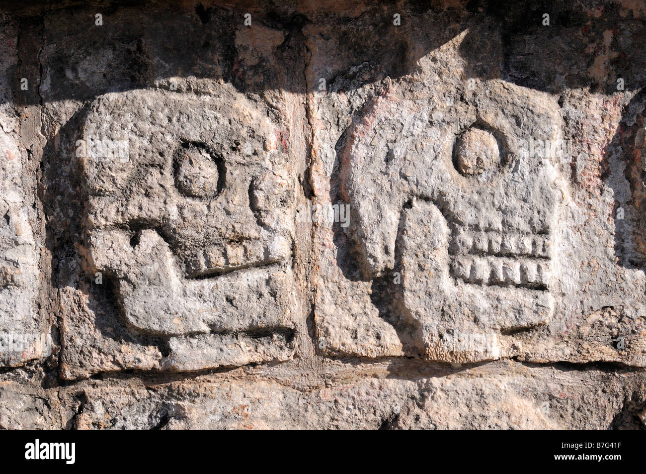 Sculptures sur pierre de crânes souriant Tzompantli, plate-forme, Chichen Itza, Mexique Banque D'Images