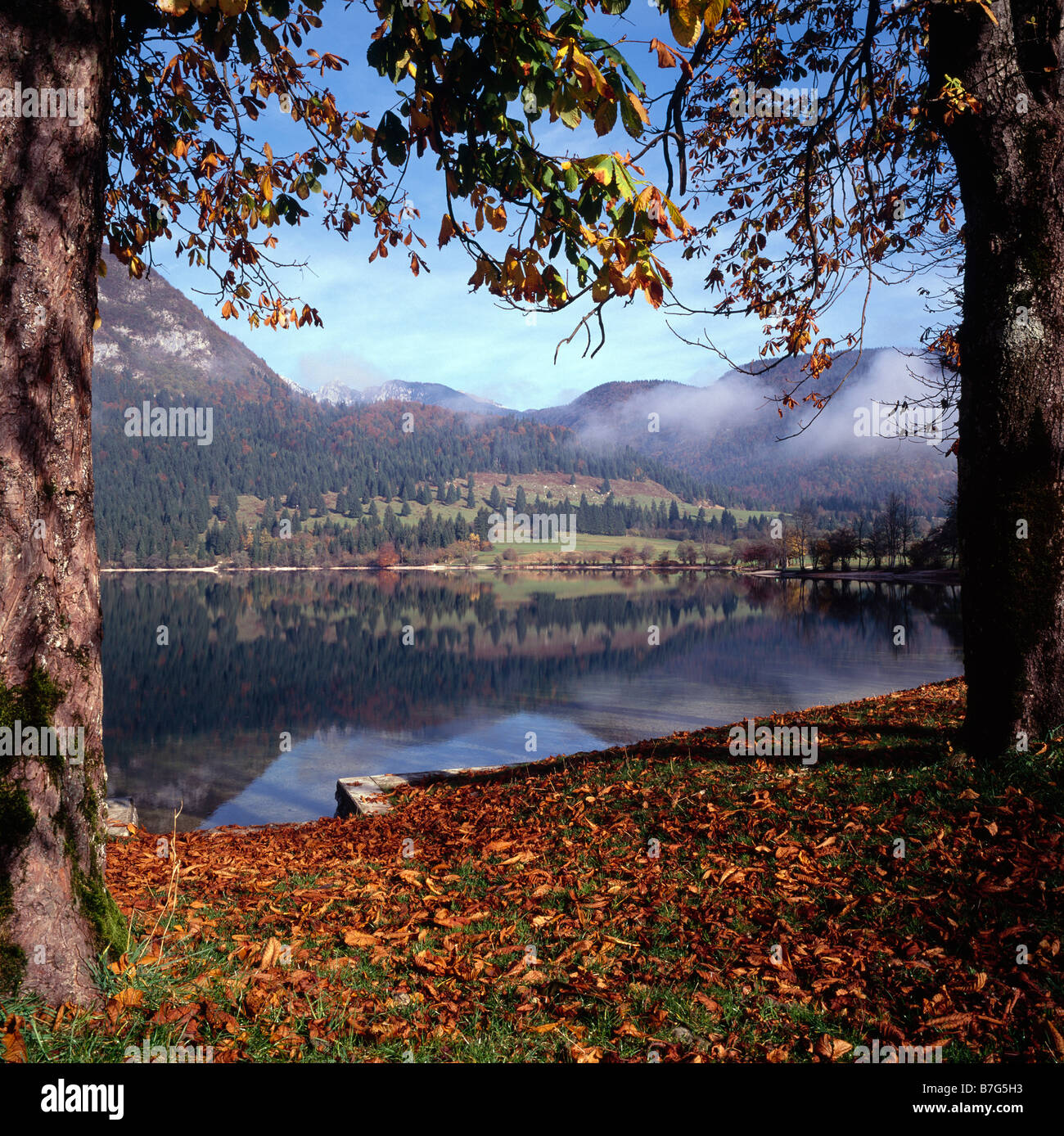 Lac de Bohinj, Bohinj, Slovénie, Gorenjska. Banque D'Images