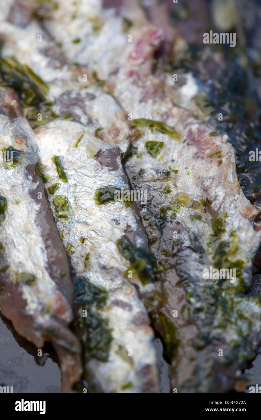 Filets d'anchois aux herbes close-up Banque D'Images