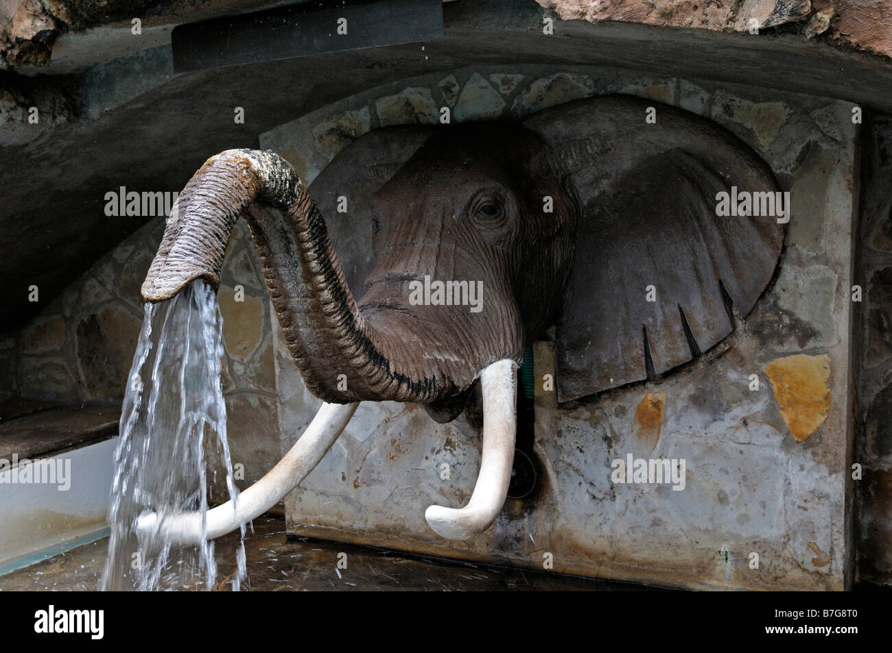 Éléphant fontaine eau inhabituelle de la tuyère d'eau cascade artificielle différente Banque D'Images