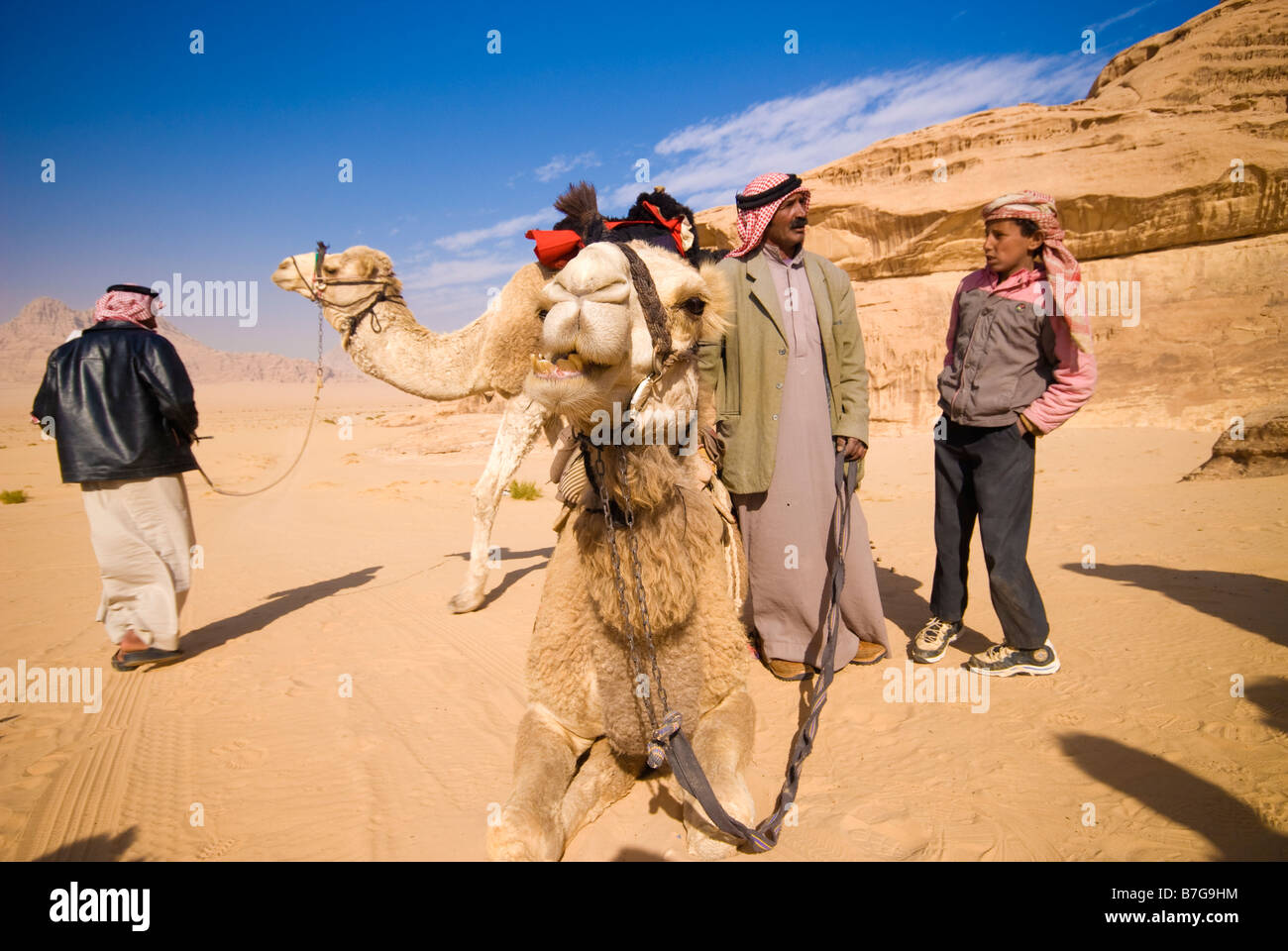 Les bédouins et les chameaux dans le désert de Wadi Rum Jordanie Banque D'Images