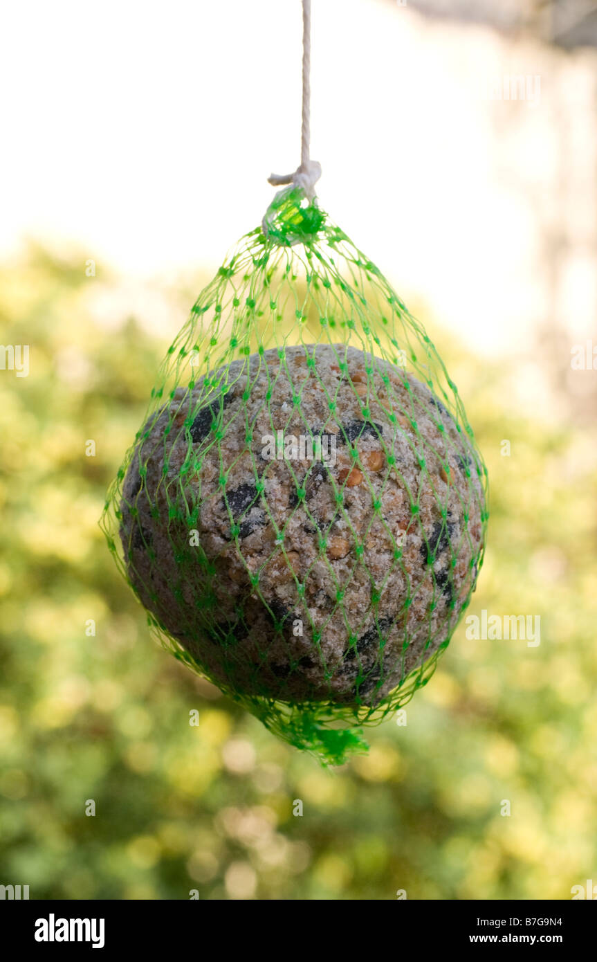 Un gros ballon accroché dans le jardin pour nourrir les petits oiseaux Banque D'Images