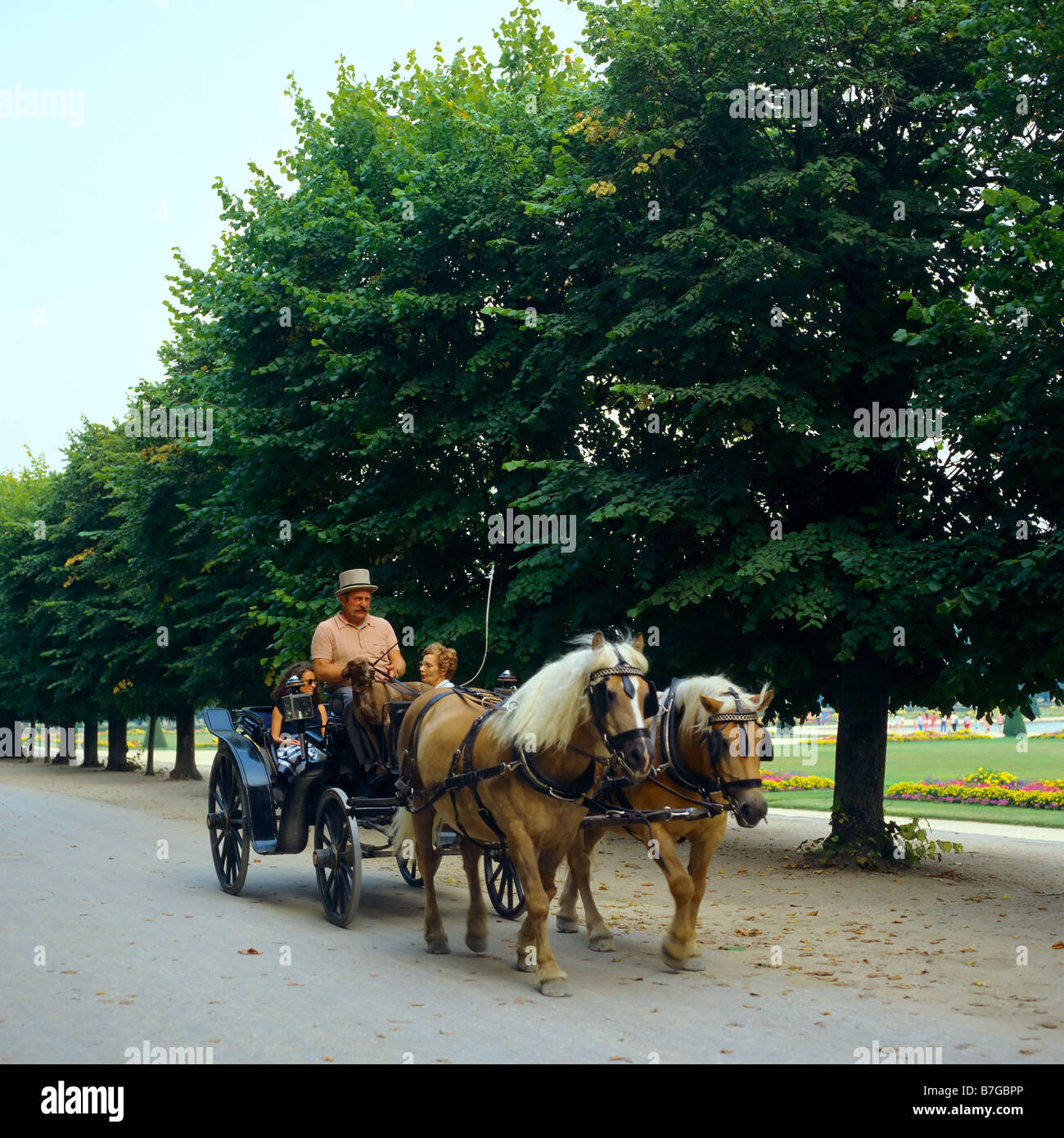 Barouche, parc du château de Fontainebleau, Seine-et-Marne, Ile-de-France, France, Europe, Banque D'Images