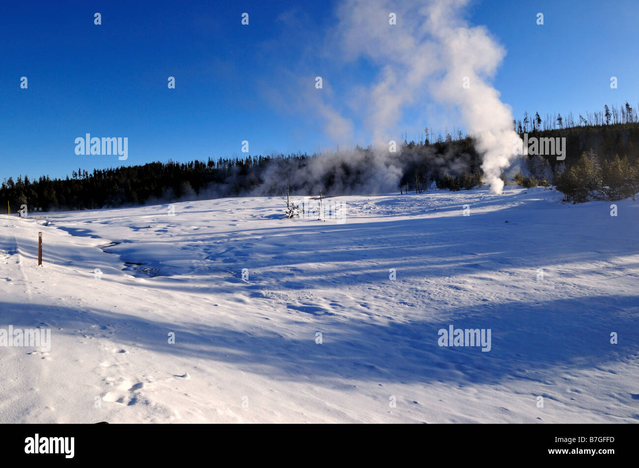 Évents de vapeur en hiver. Le Parc National de Yellowstone, Wyoming, USA. Banque D'Images