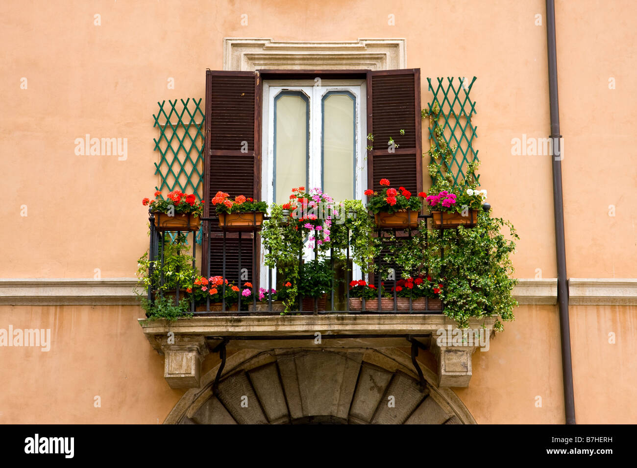 Fleurs sur la fenêtre balcon à Rome Italie Banque D'Images