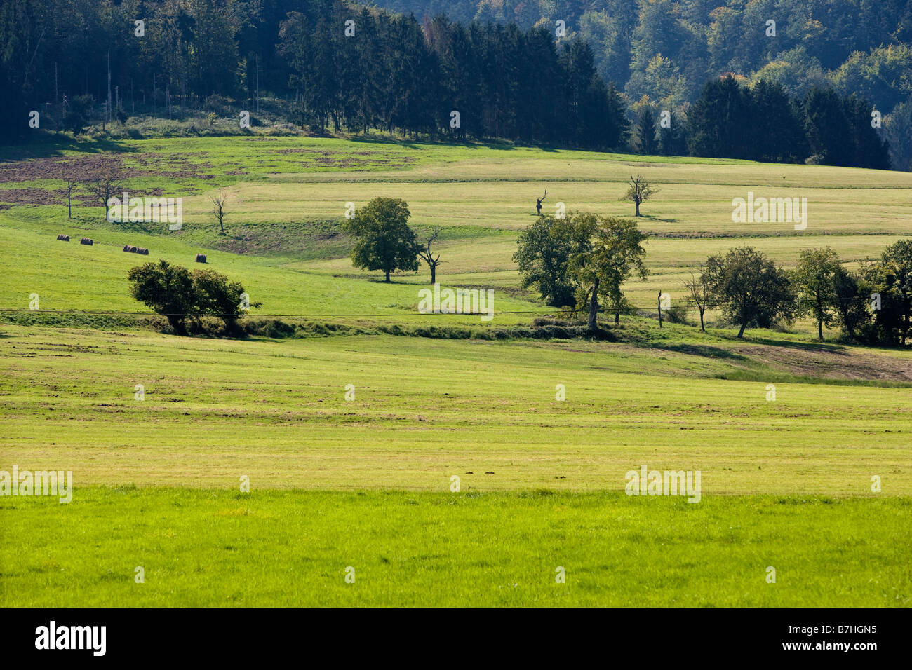 Paysage dans les Vosges Banque D'Images