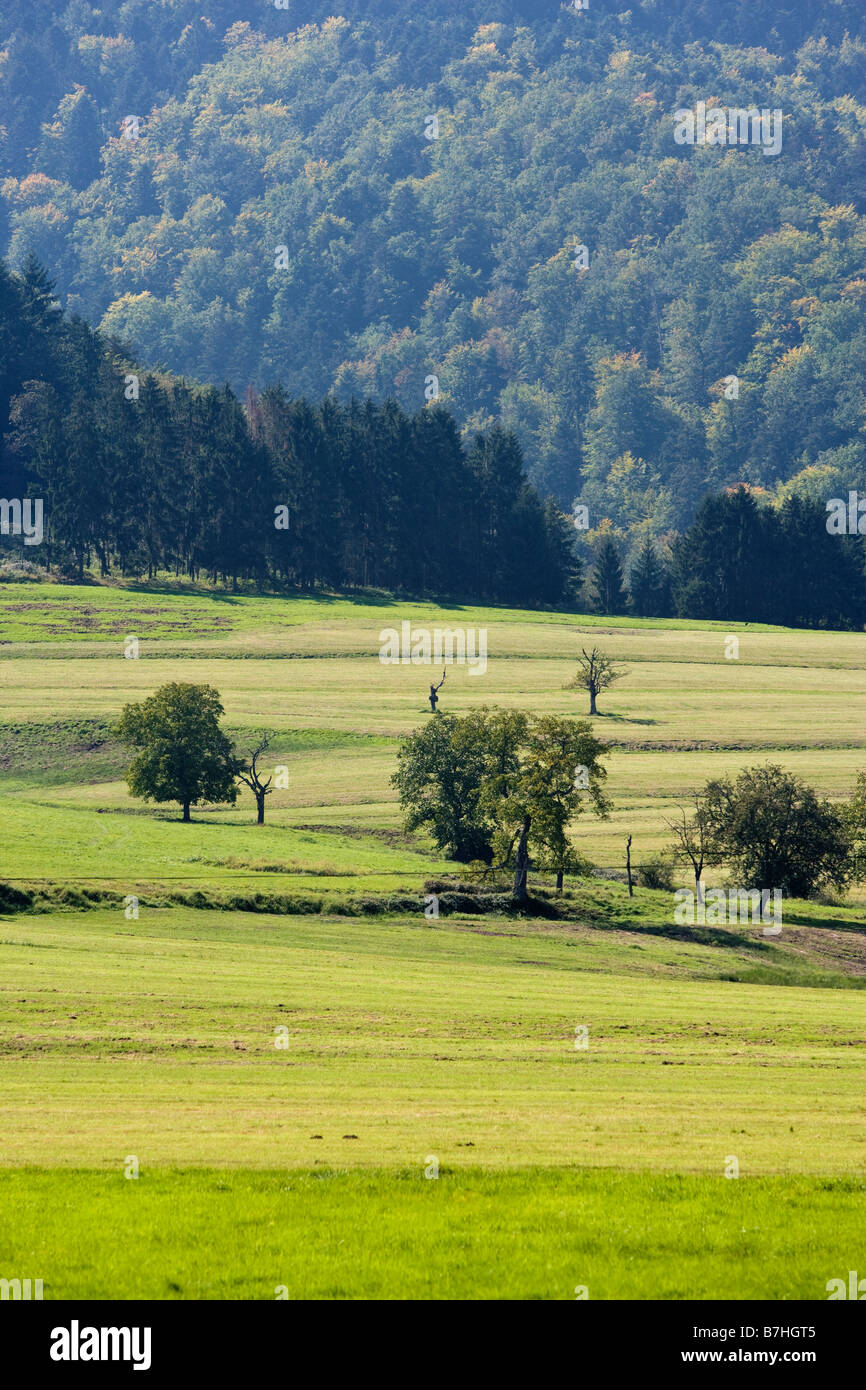 Paysage dans les Vosges Banque D'Images