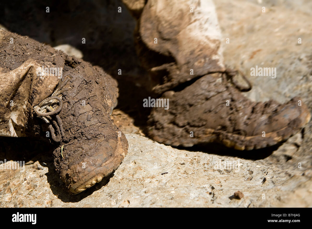 Une paire de chaussures de randonnée boueuse Guatemala Banque D'Images