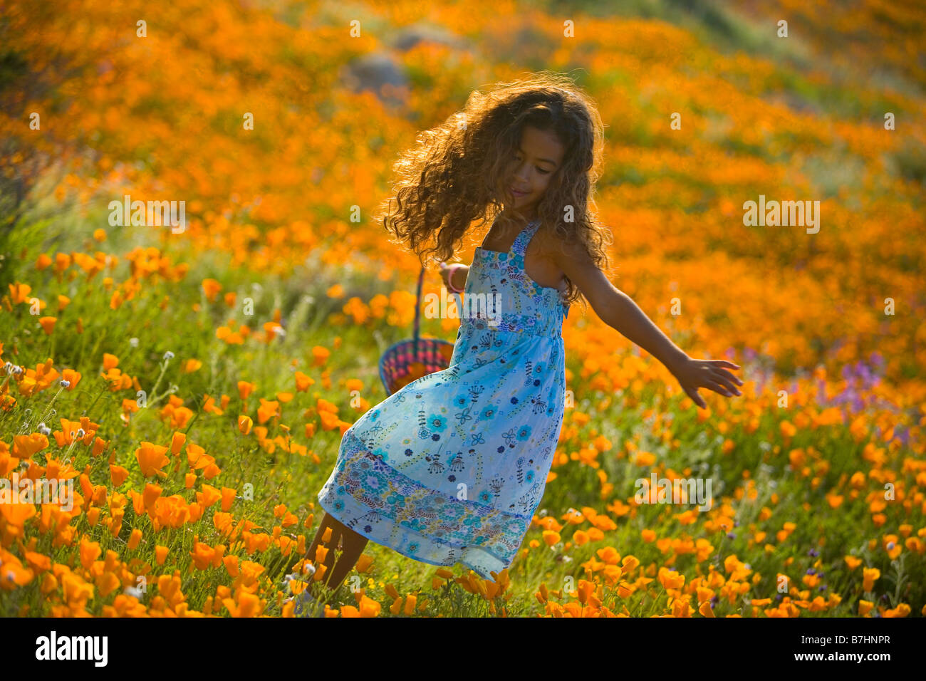 Jeune fille courir et jouer dans un champ de pavot de Californie (Eschscholzia californica fleurs sauvages) dans la région de Lake Elsinore, Californ Banque D'Images