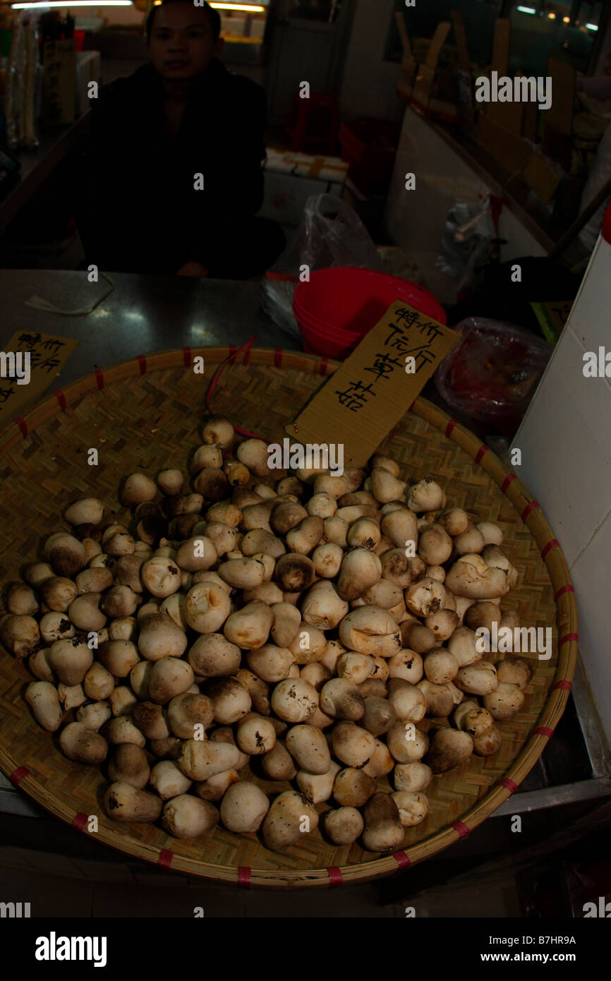 Divers Champignons chinois en vente sur un marché chinois Banque D'Images