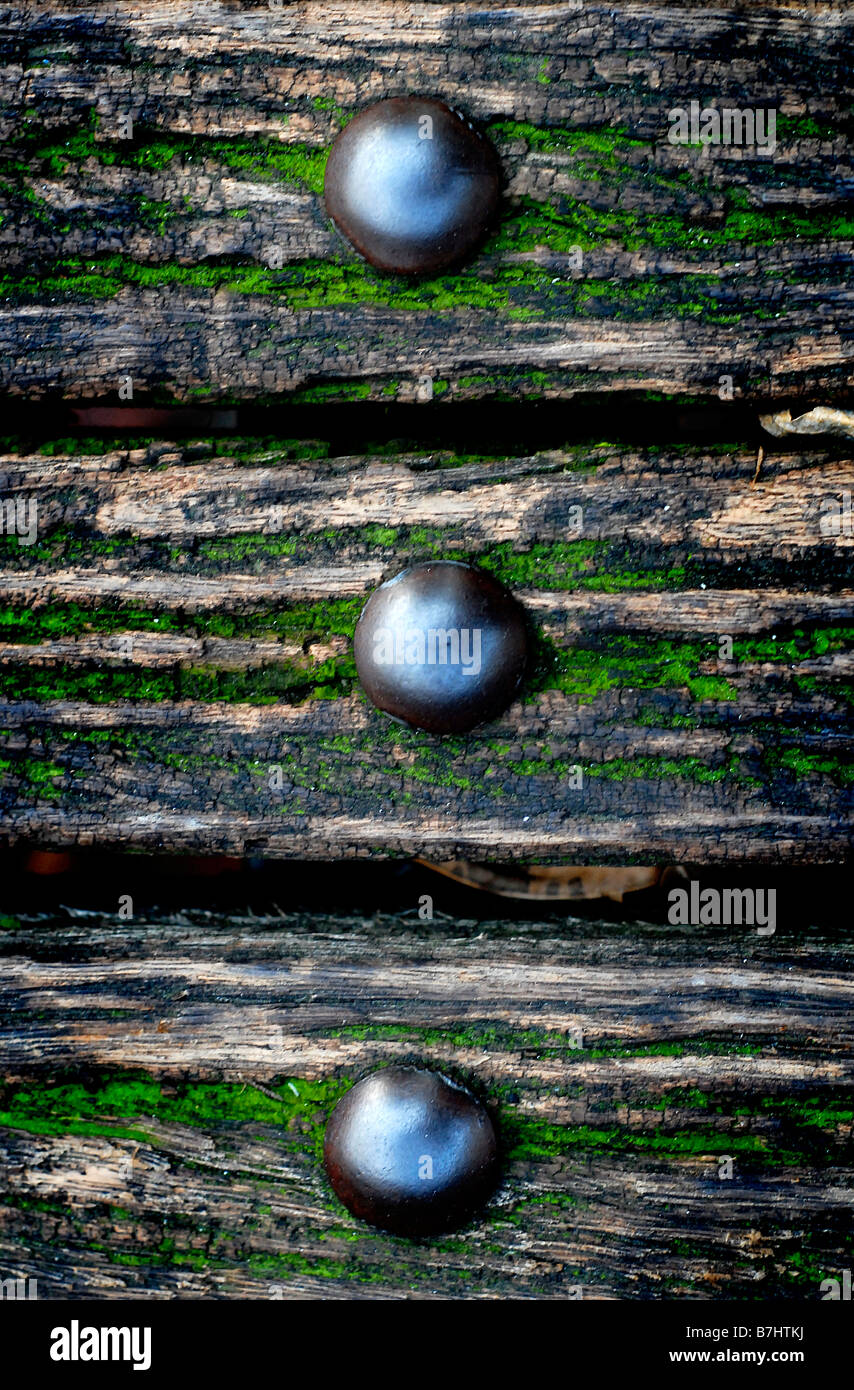 Un banc recouverts de mousse Banque D'Images