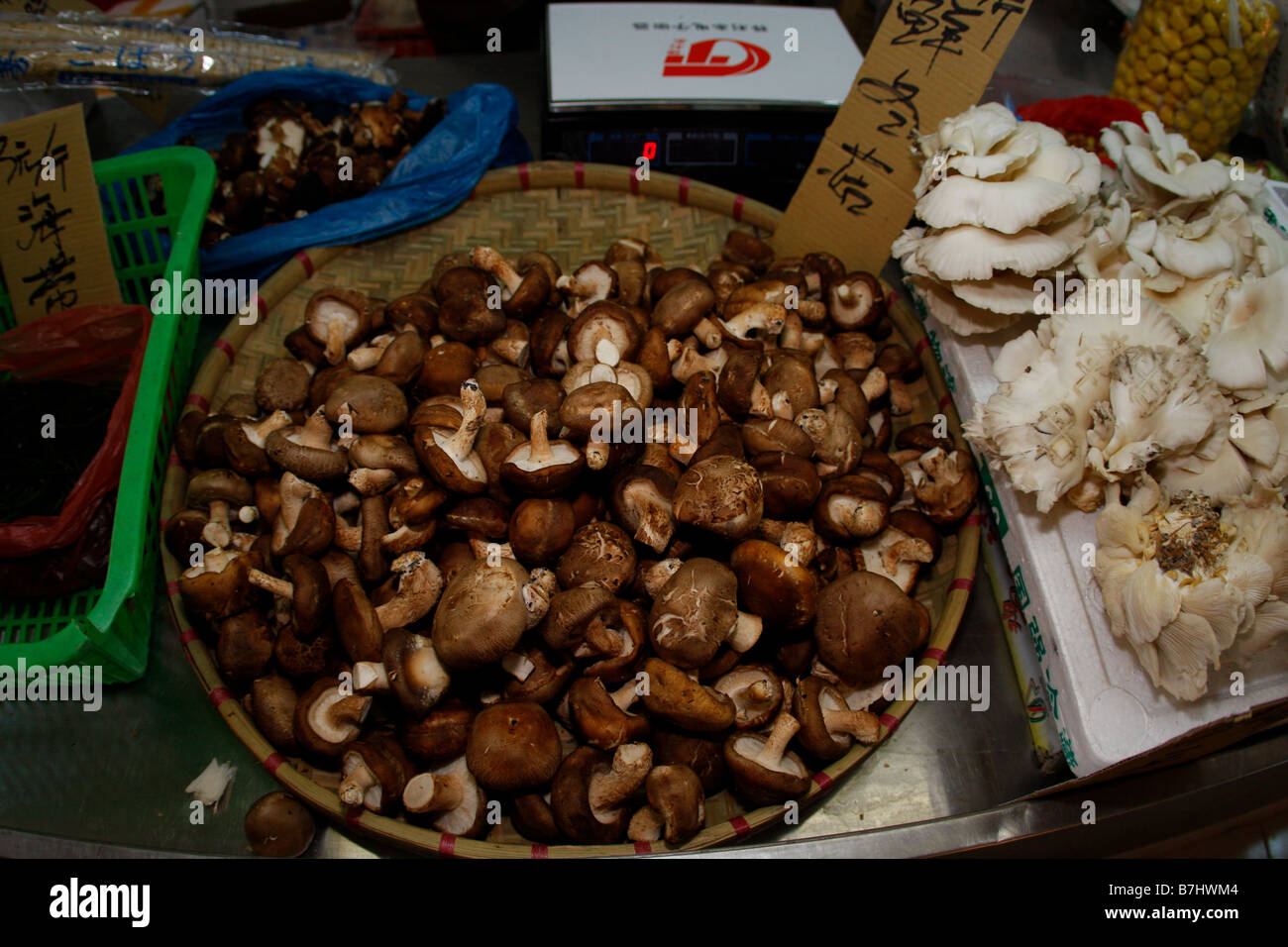 Divers Champignons chinois en vente sur un marché chinois Banque D'Images