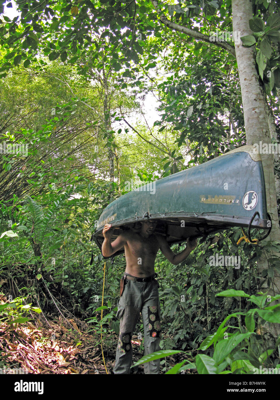 Phil Harwood transportant Canadian canoe sur portage à travers jungle sur fleuve Congo République démocratique du Congo Banque D'Images