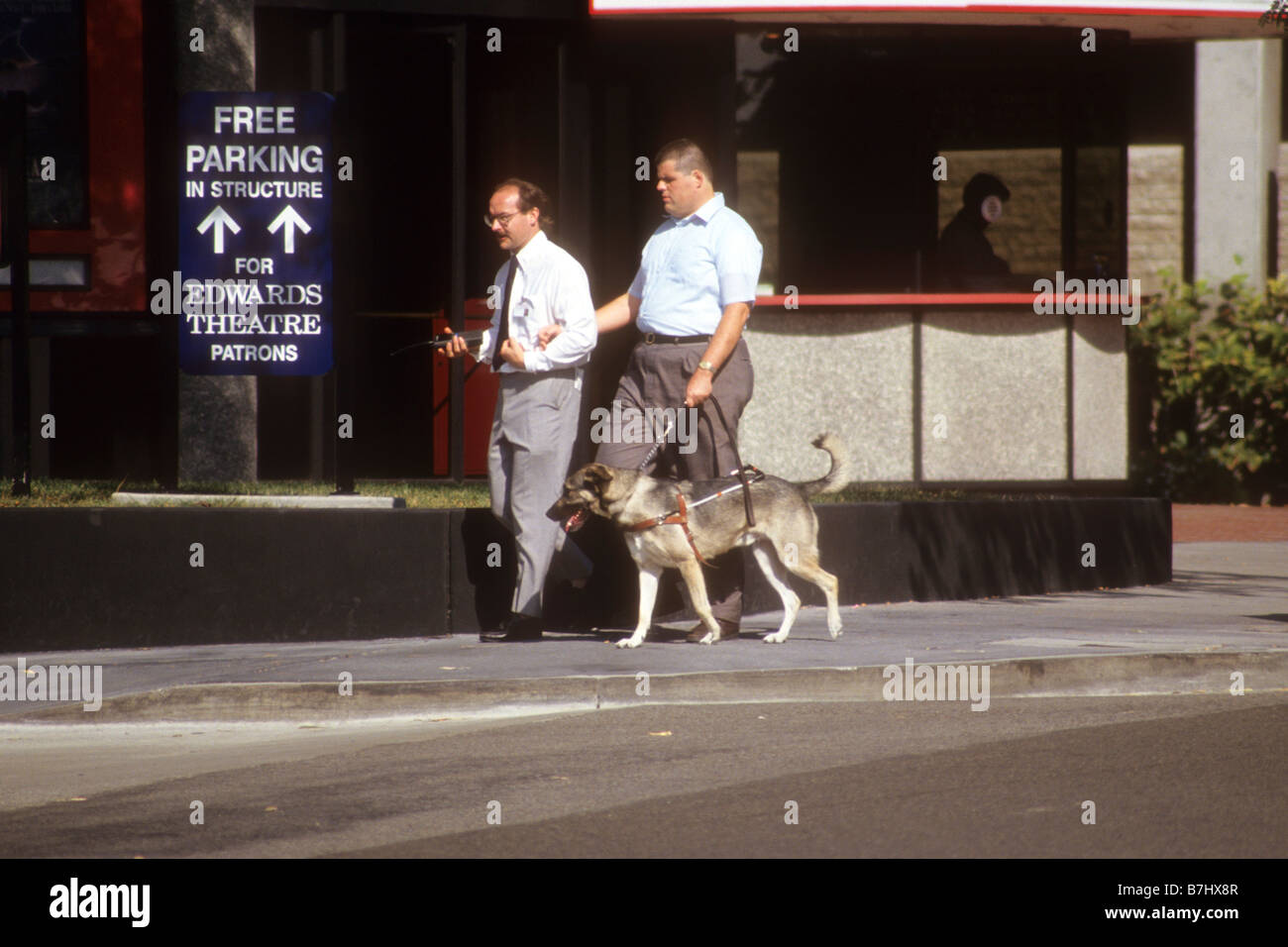 L'homme aveugle escorts friend avec chien-guide sur le trottoir. Banque D'Images