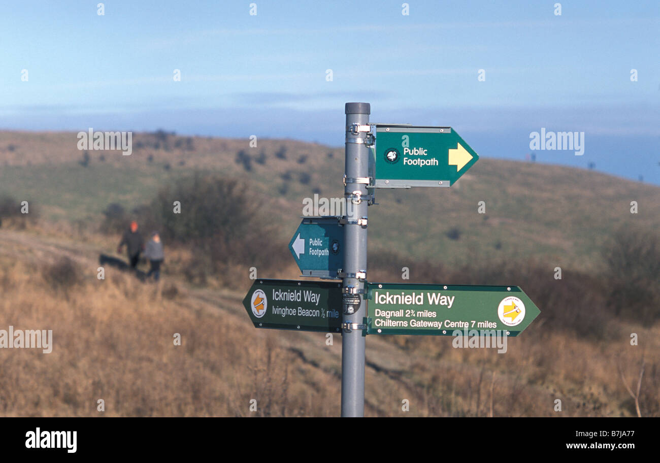 Signer pour le Ickneld way sentier près de Ivinghoe beacon Buckinghamshire Banque D'Images