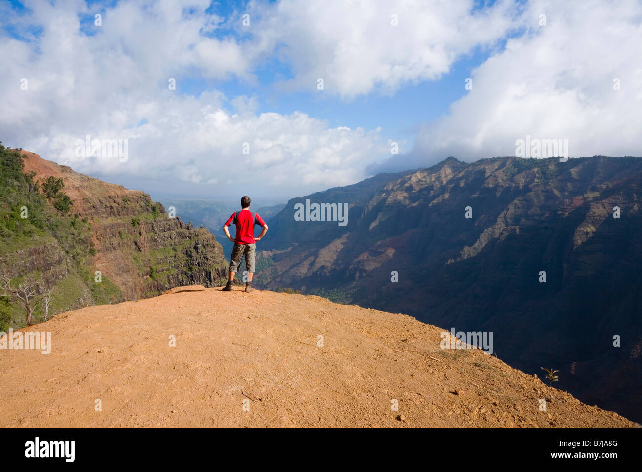 Walker admiring view de Waimea canyon Waimea Canyon State Park de Kaua'i Hawaii USA Banque D'Images