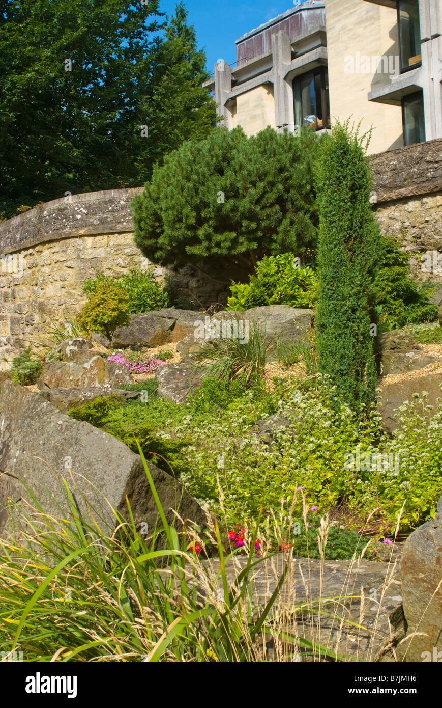 Des arbustes et des fleurs à St John's College, Oxford, jardin Banque D'Images