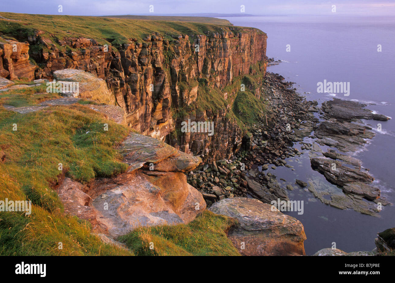 Dunnett Head, Caithness, Ecosse, juillet. Banque D'Images