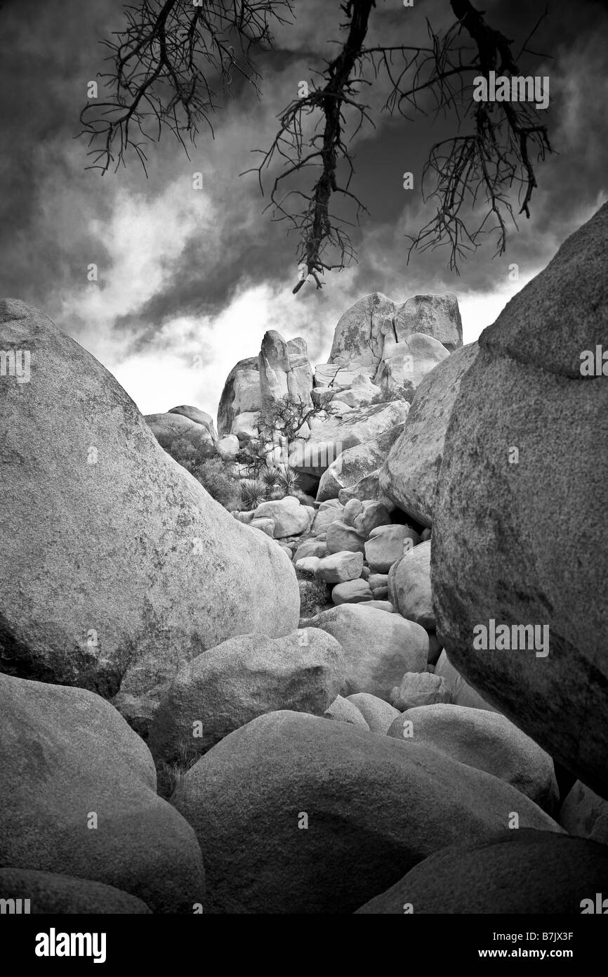 Rock formation à Joshua Tree National Park Banque D'Images
