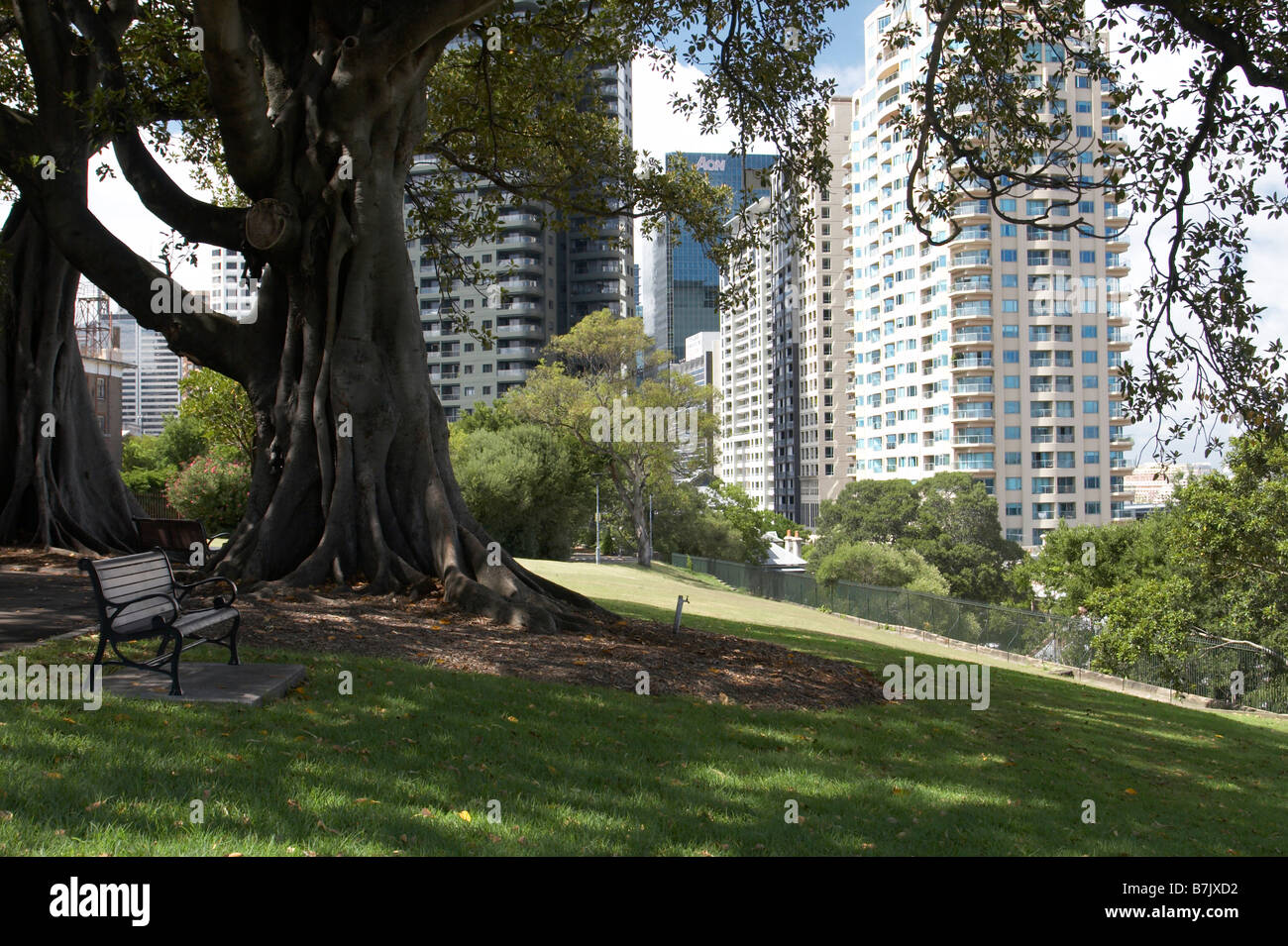 Tours de la CDB comme vu de la colline de l'Observatoire Banque D'Images