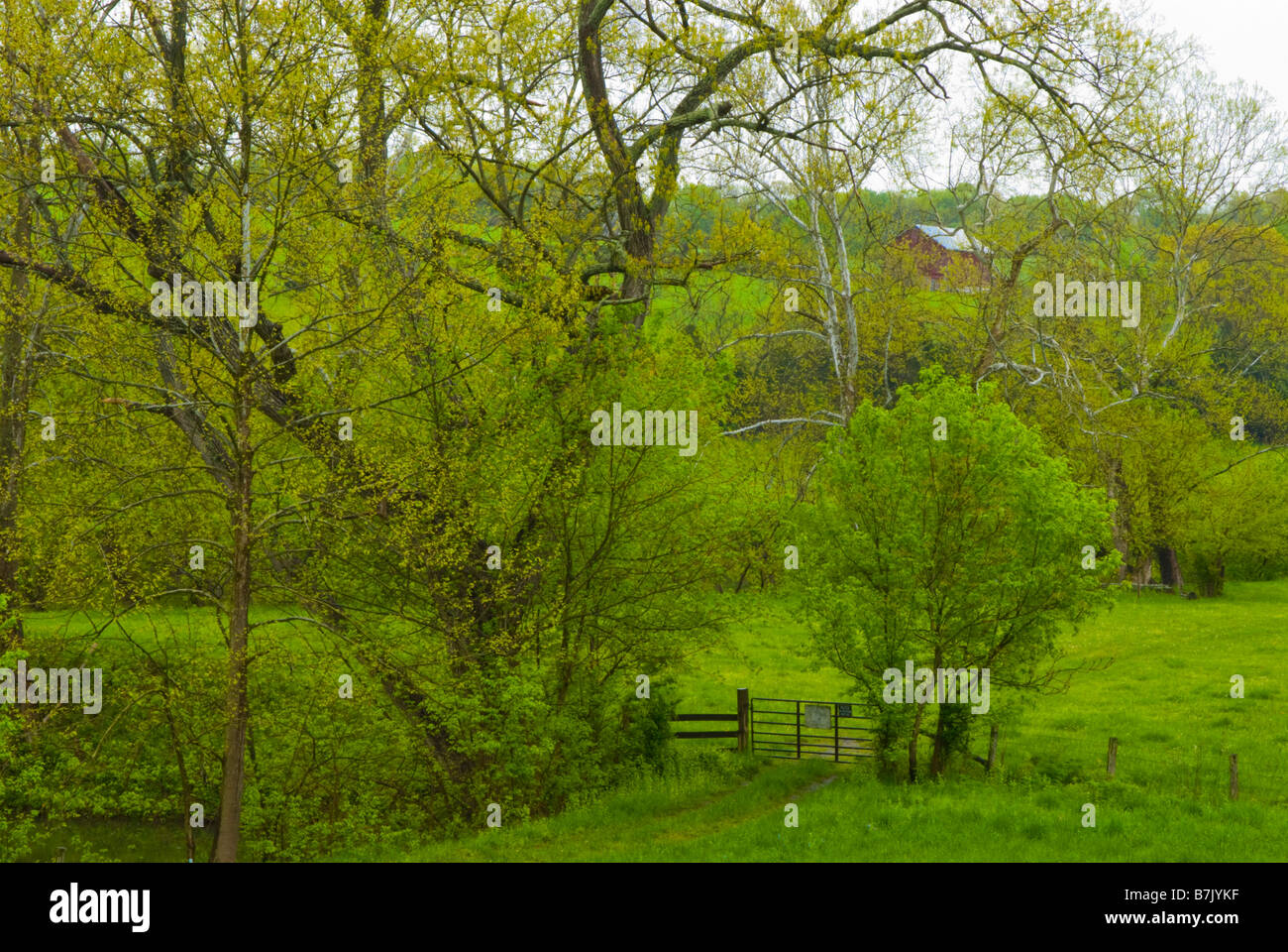 Prairie et de terres agricoles dans la vallée de Shenandoah, scène de la Virginie. Banque D'Images