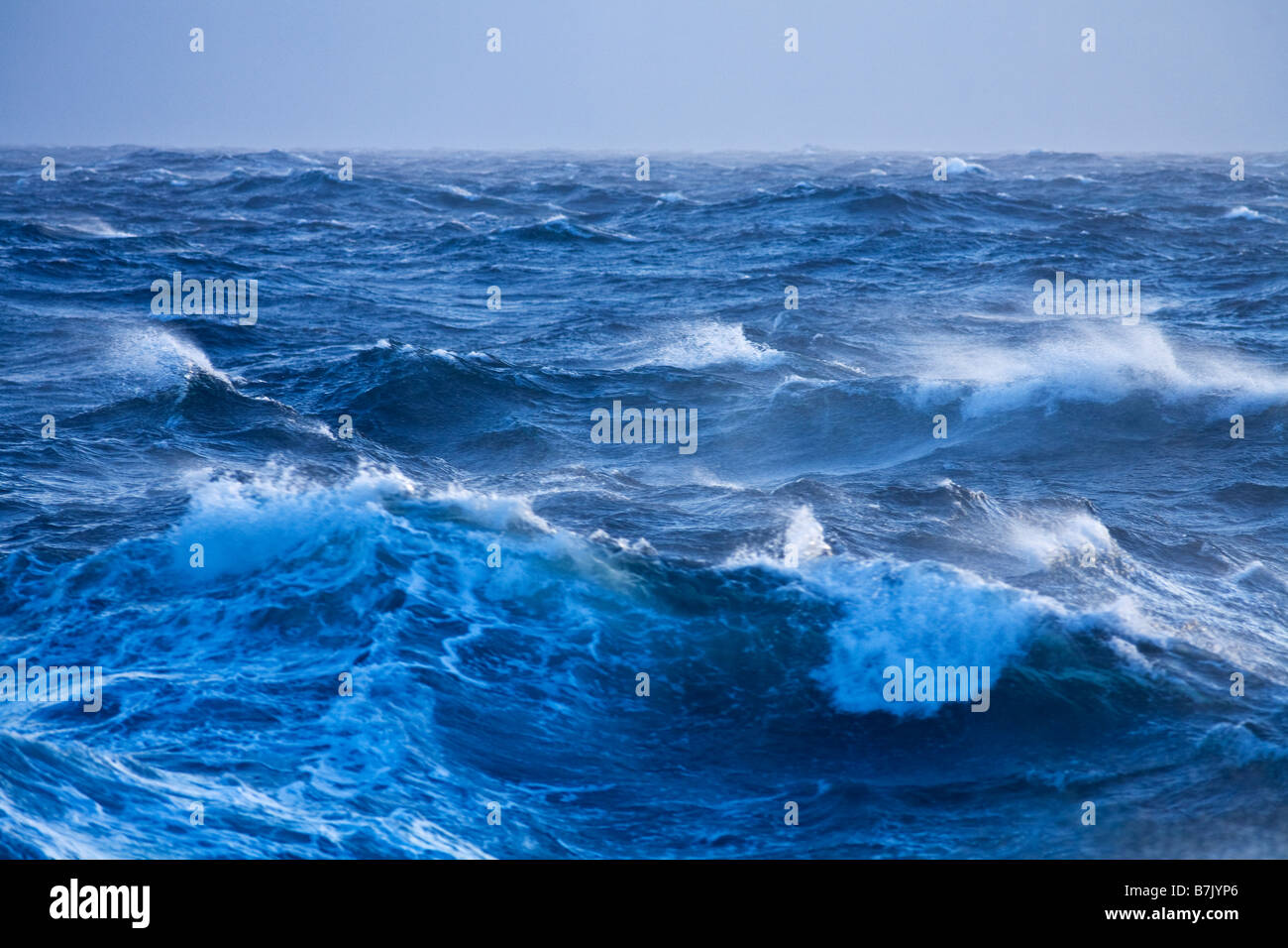 Une mer grosse vague dans l'océan Antarctique gales Banque D'Images