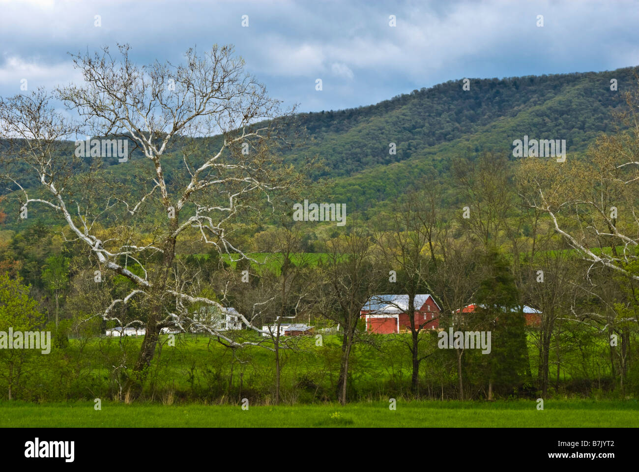 Une ferme dans la vallée de Shenandoah en Virginie aux États-Unis. Banque D'Images