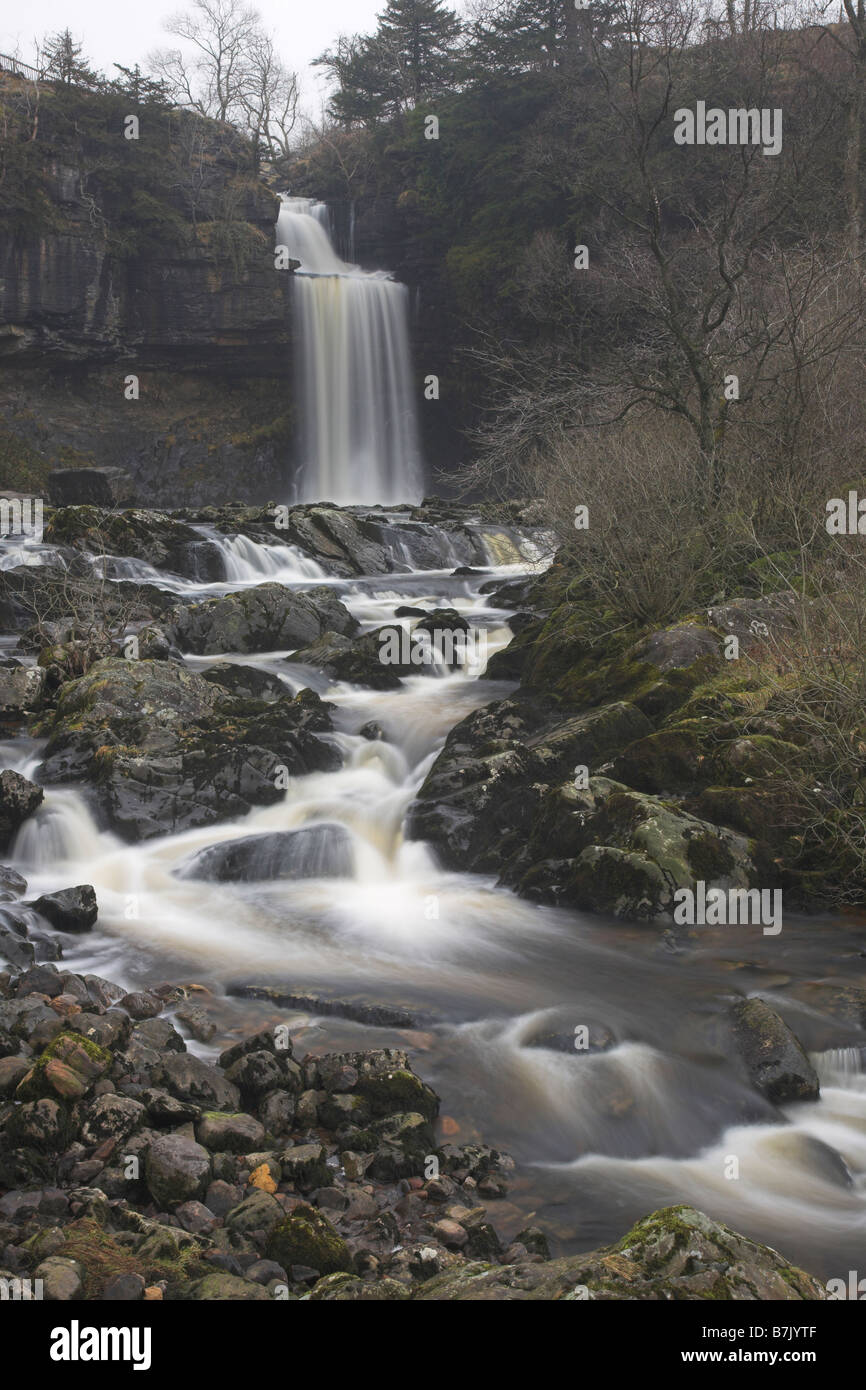 Thornton vigueur Cascade, partie de la promenade à l'chutes d'Ingleton Ingleton Ribblesdale dans le Yorkshire Dales U.K Banque D'Images