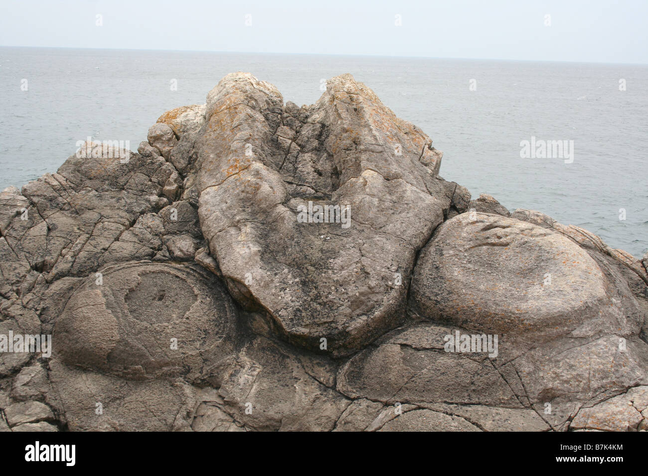 Un fossile sur la formation de la roche la côte jurassique du Dorset Banque D'Images