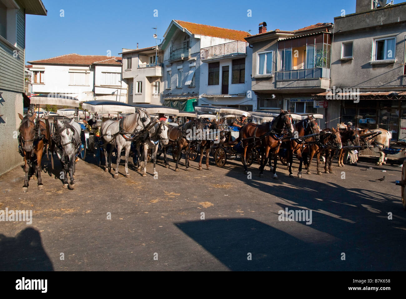 Chevaux alignés avec leurs chariots en attente de prix sur Büyükada, la plus grande des îles des Princes, Istanbul, Turquie Banque D'Images