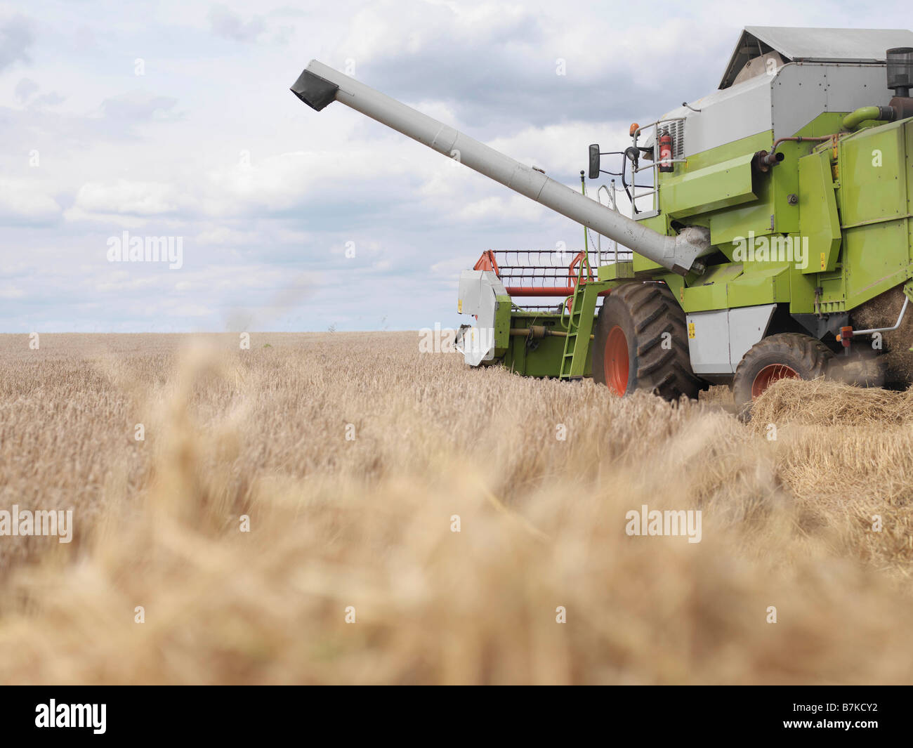 Combine Harvester in Wheat Field Banque D'Images