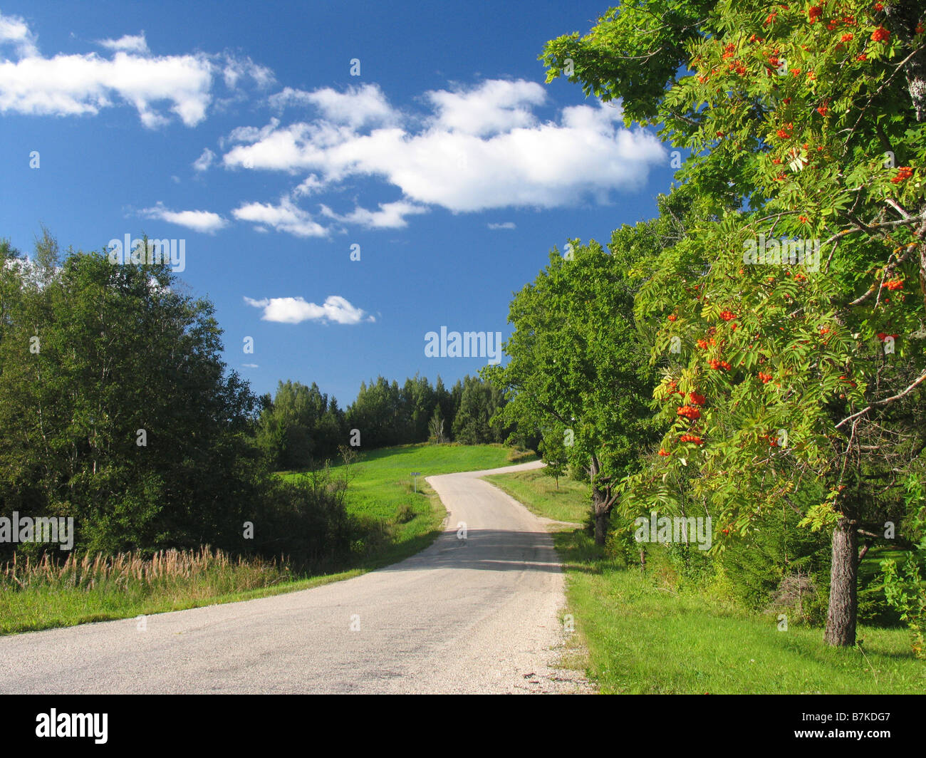 En route, le comté de Võru Haanja, Estonie, Europe Banque D'Images