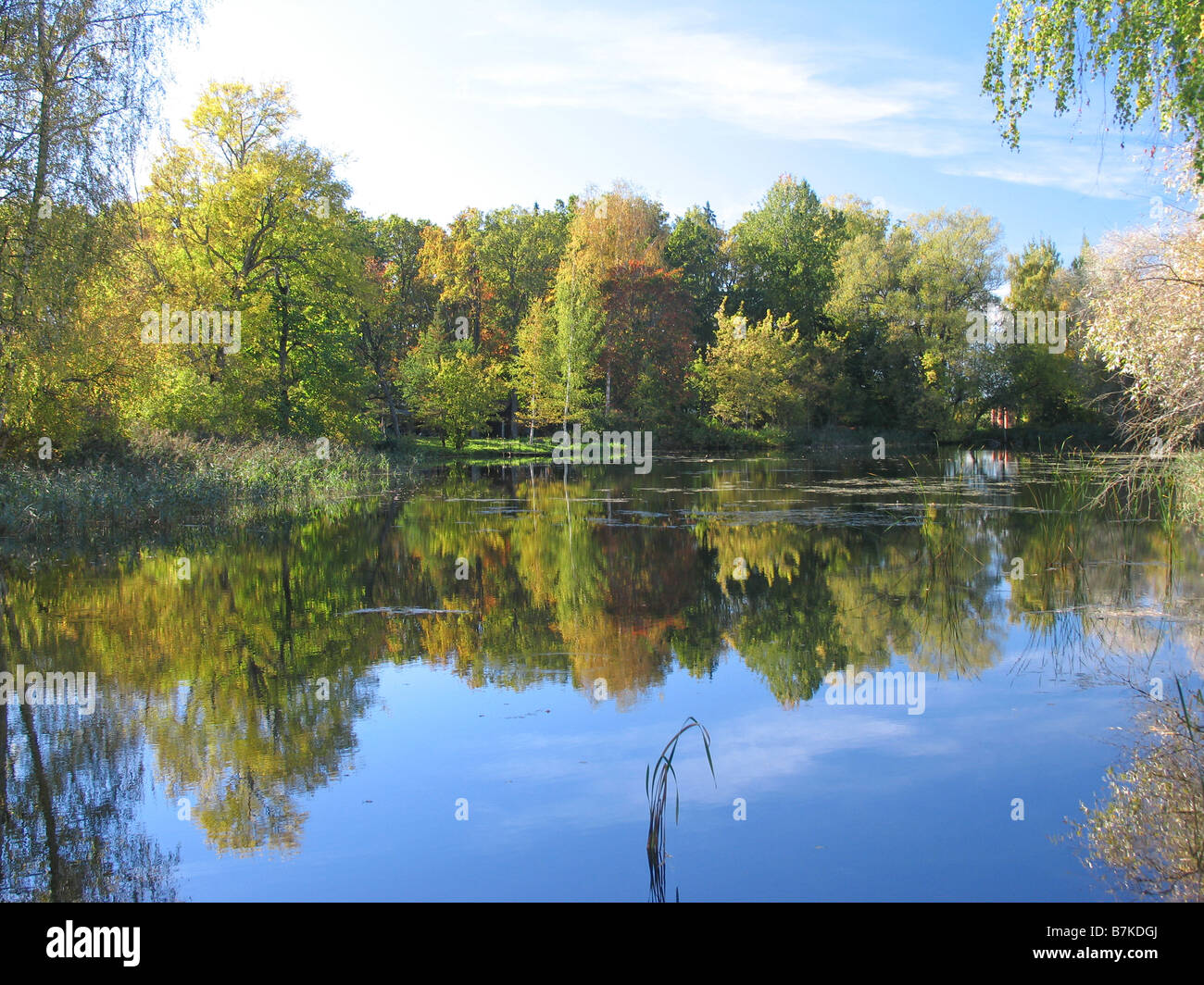 Lake, comté de Võru, Estonie, Europe Banque D'Images