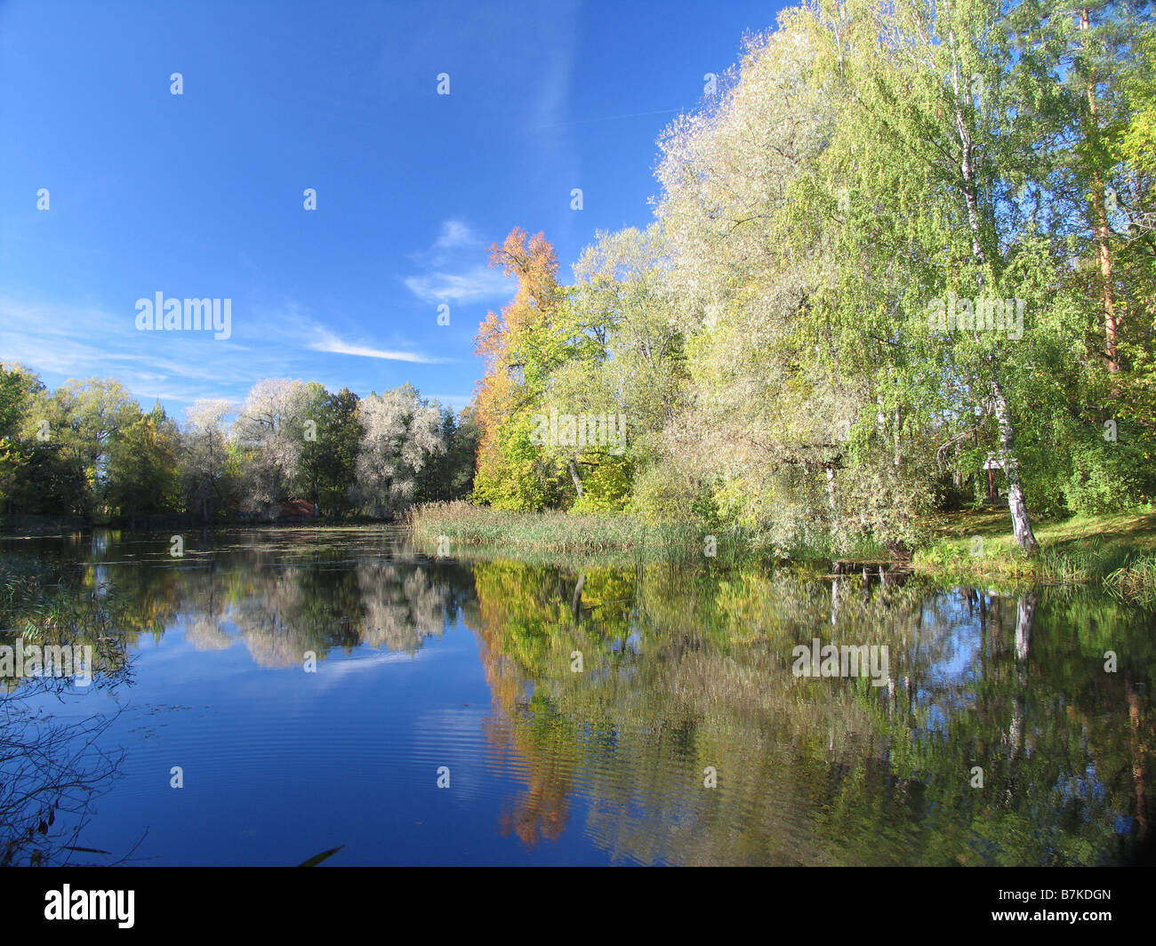 Lake, comté de Võru, Estonie, Europe Banque D'Images